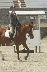 Figure 16: Correct position
for the equitation rider.
Note that this rider is in the
rising phase of the posting
trot, which is why her seat
is out of contact with the
saddle.